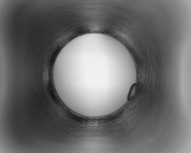 X0000088050740200706081629