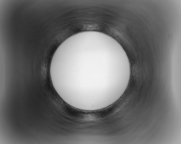 X0000088050741200706081629