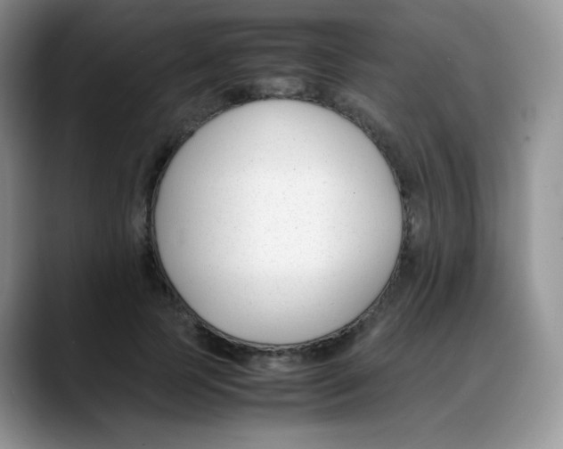 X0000088050745200706081629