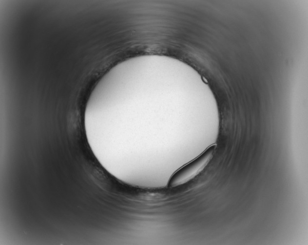 X0000088050748200706081629