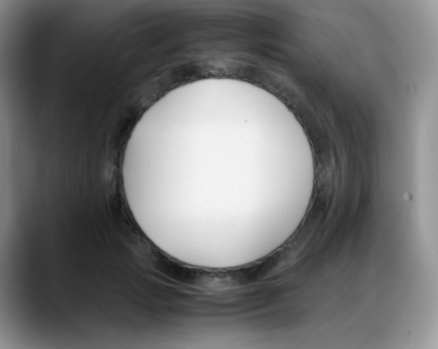 X0000088050749200706081629