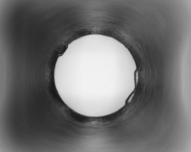 X0000088050750200706081629