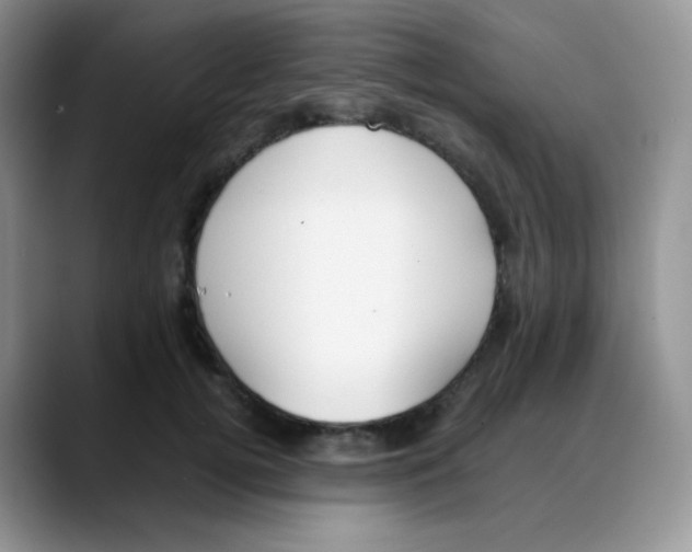 X0000088050752200706081629