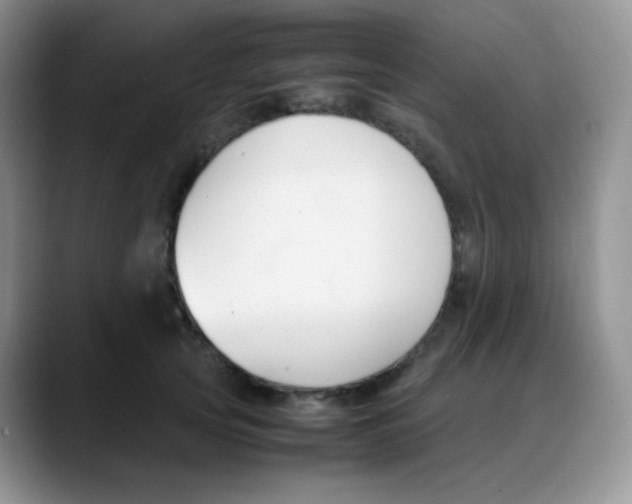 X0000088050753200706081629