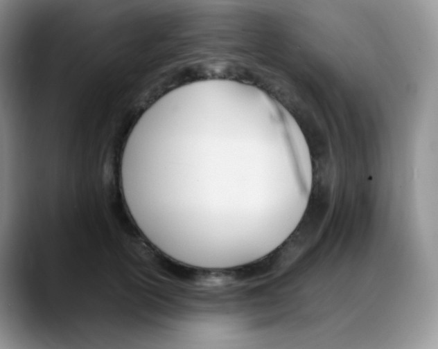 X0000088050754200706081629