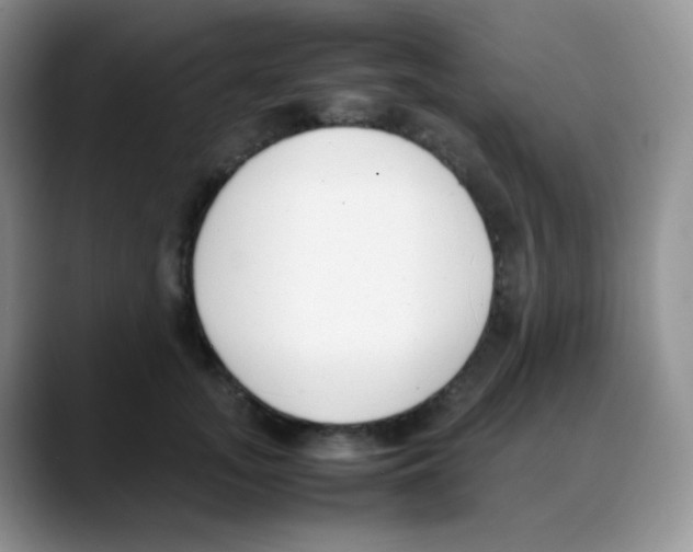 X0000088050755200706081629