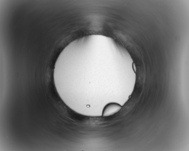 X0000088050758200706081629