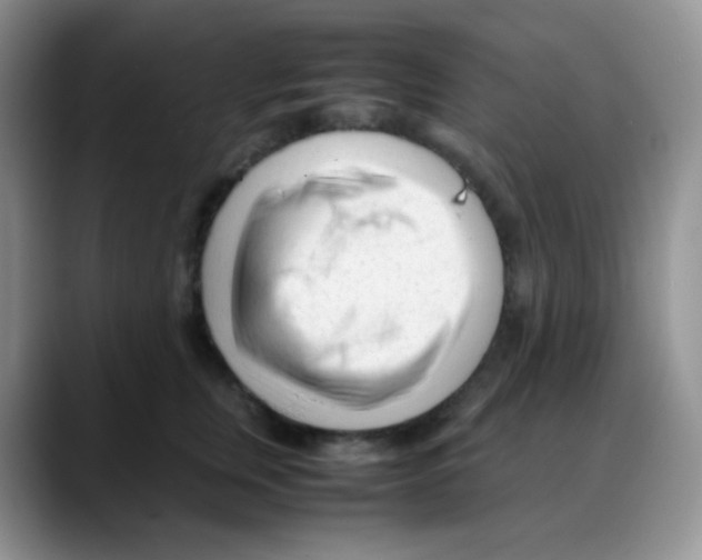 X0000088050759200706081629