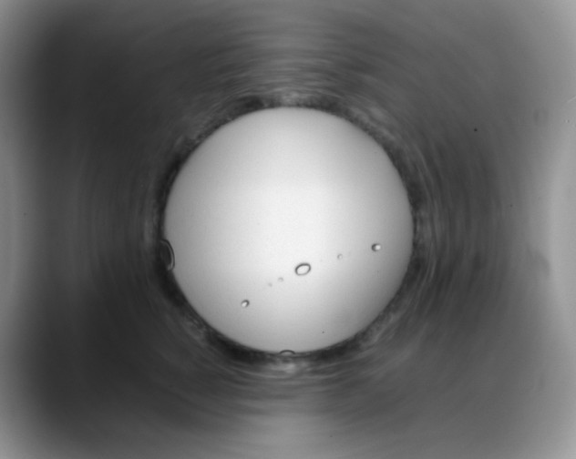 X0000088050760200706081629