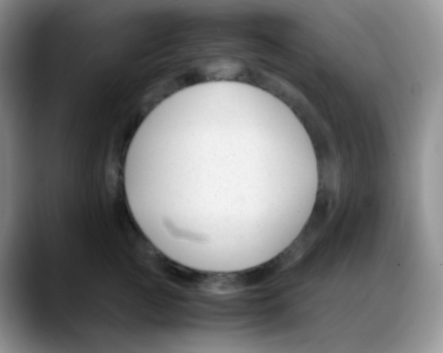 X0000088050761200706081629