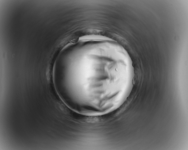 X0000088050762200706081629