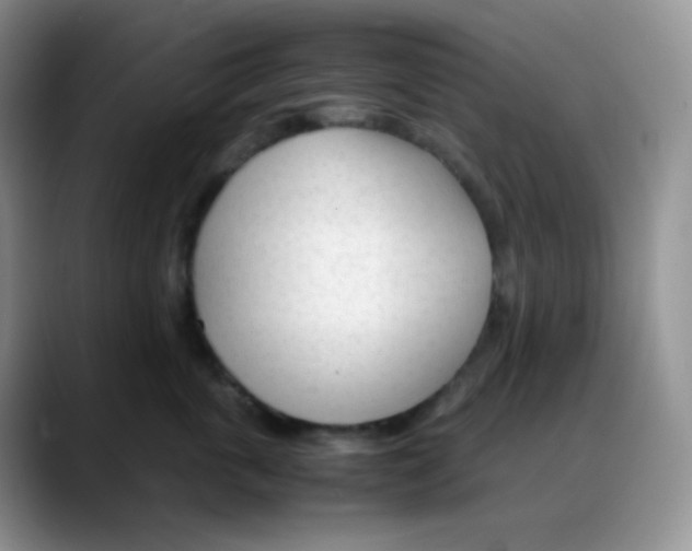 X0000088050763200706081629