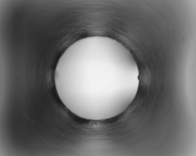 X0000088050764200706081629