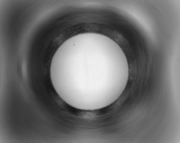 X0000088050765200706081629