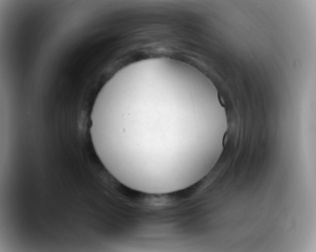 X0000088050767200706081629