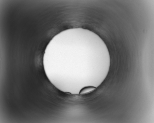 X0000088050768200706081629