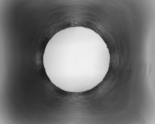 X0000088050770200706081629