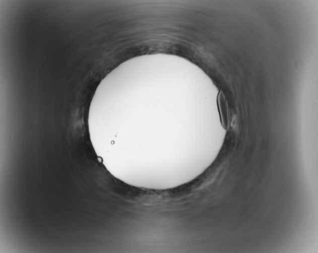 X0000088050771200706081629