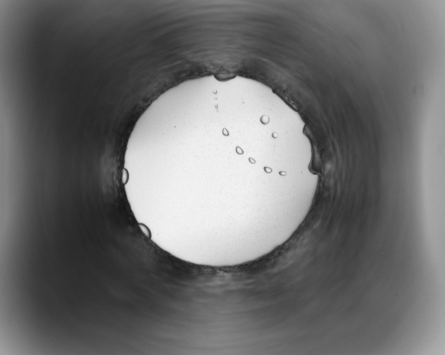 X0000088050772200706081629