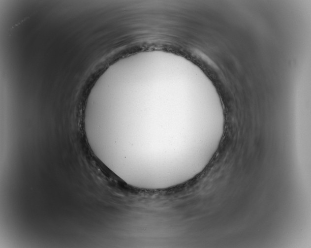X0000088050775200706081628
