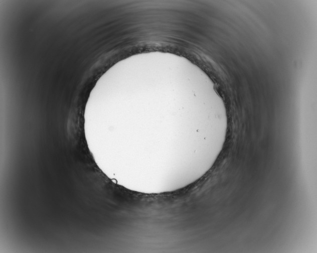 X0000088050776200706081628