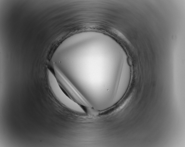 X0000088050777200706081628