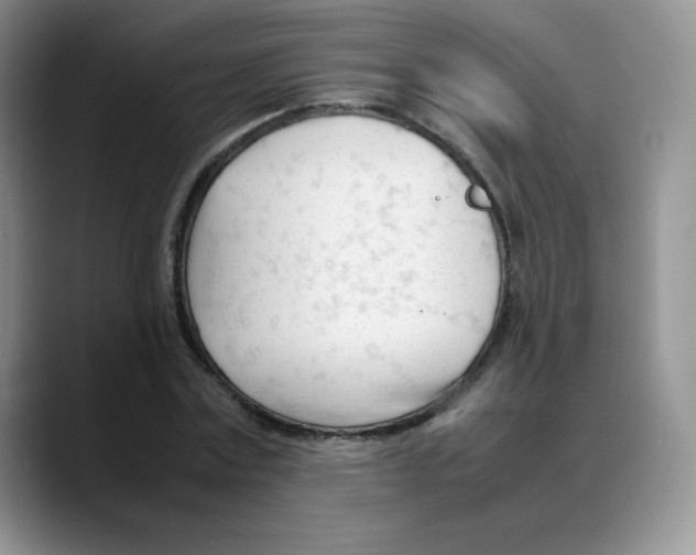 X0000088050779200706081628