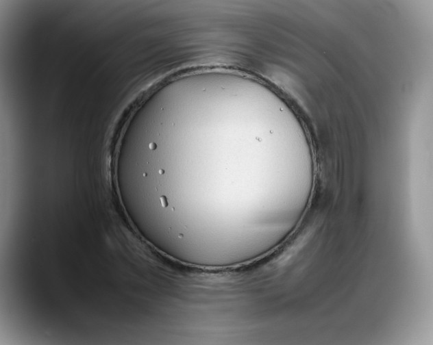 X0000088050781200706081628