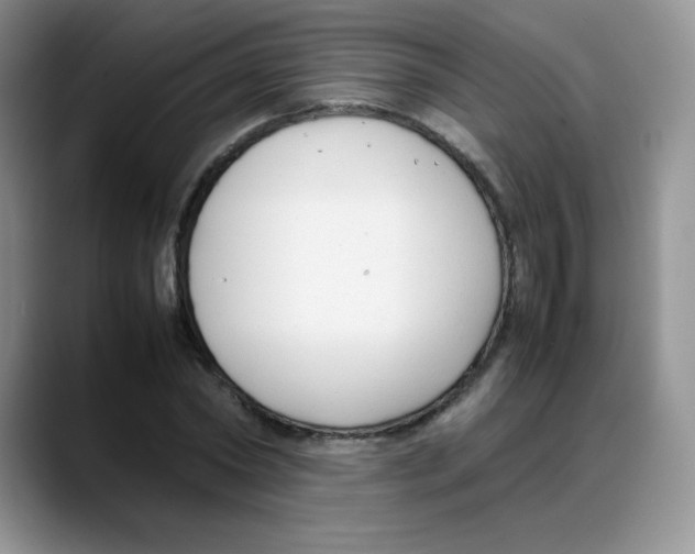 X0000088050782200706081628