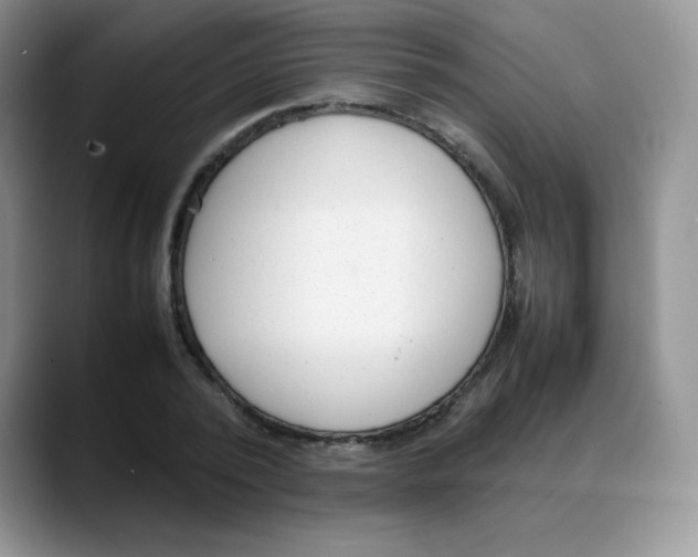 X0000088050784200706081628