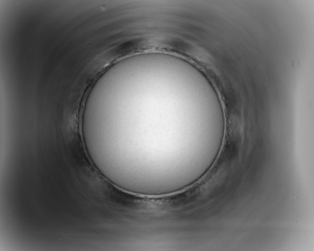 X0000088050785200706081628