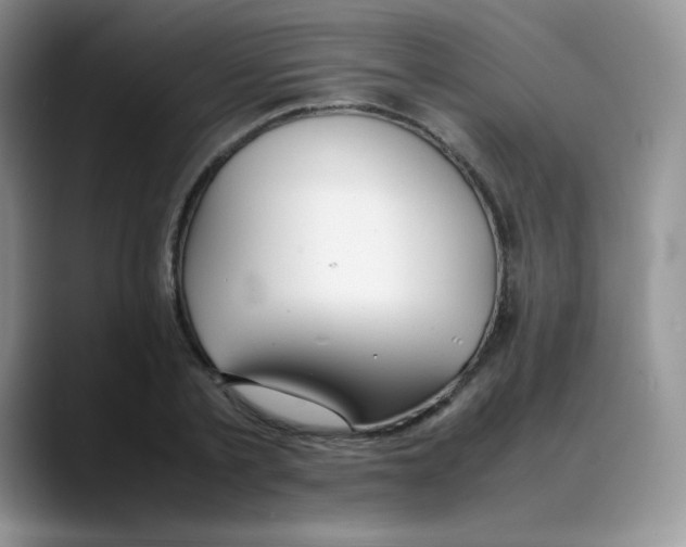 X0000088050789200706081628