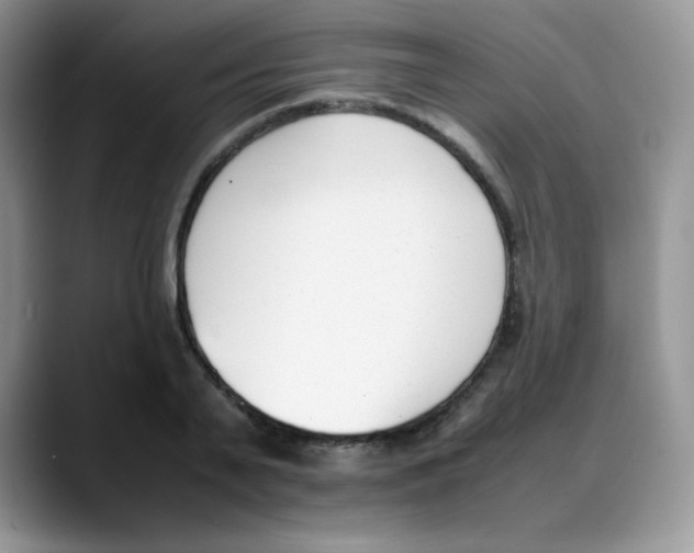 X0000088050791200706081628