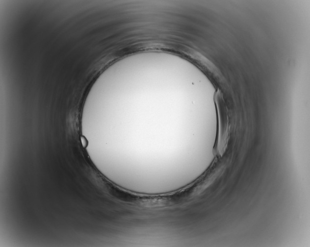 X0000088050793200706081628