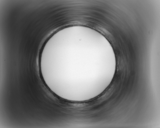 X0000088050796200706081628