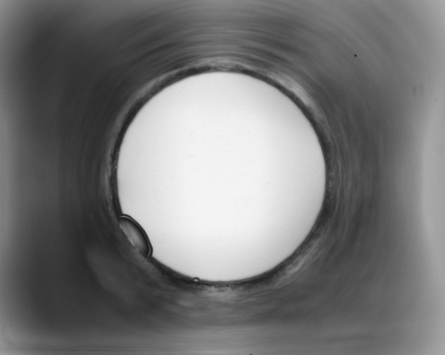 X0000088050799200706081628