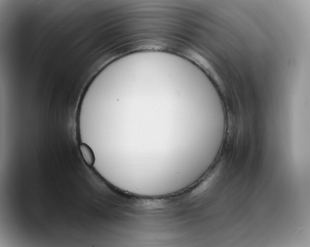 X0000088050802200706081628