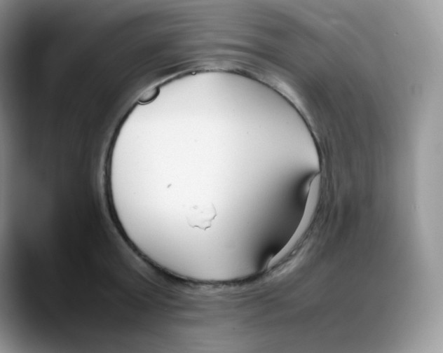 X0000088050803200706081628