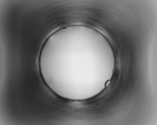 X0000088050806200706081628