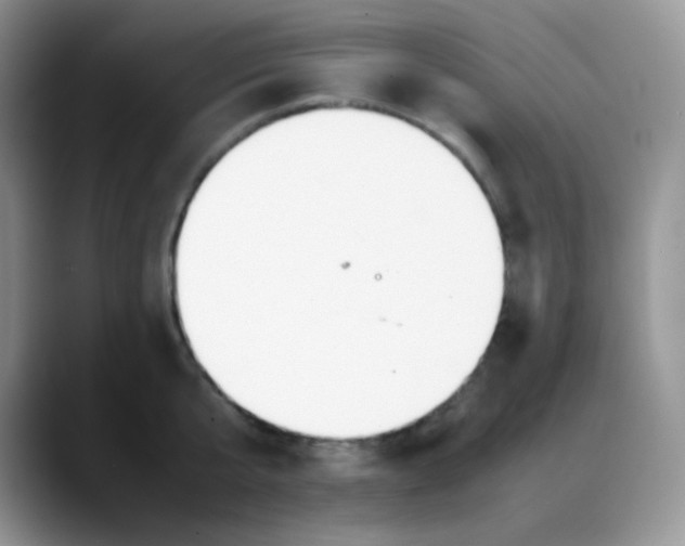 X0000088050807200706081628