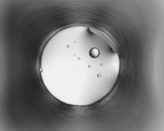 X0000088050812200706081628