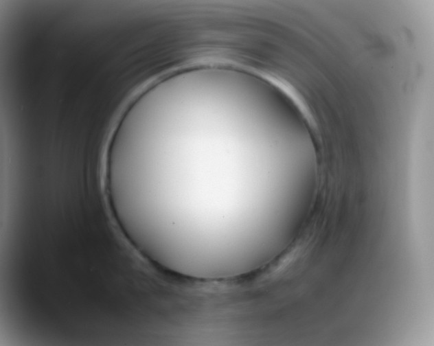 X0000088050815200706081628