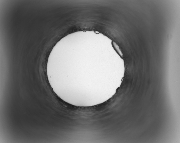 X0000088050817200706081627