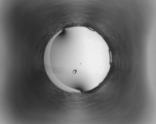 X0000088050818200706081627