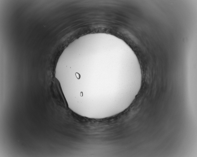 X0000088050821200706081627
