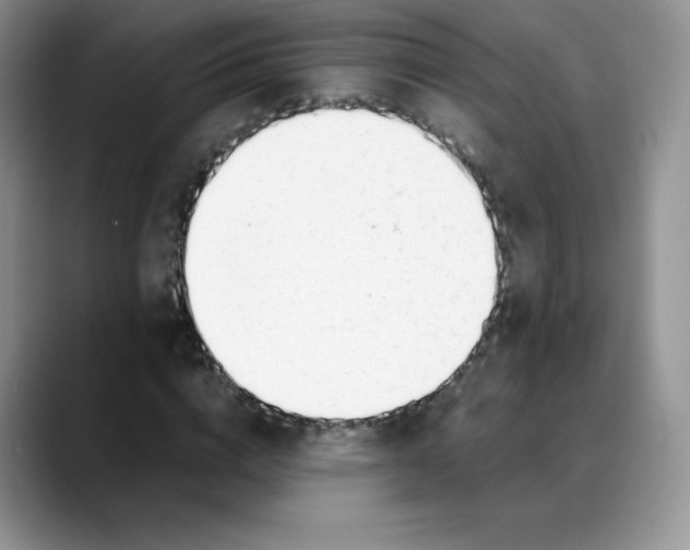 X0000088050824200706081627