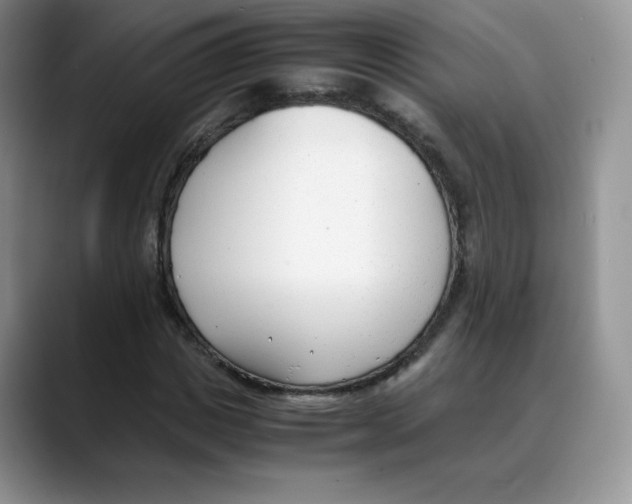 X0000088050825200706081627
