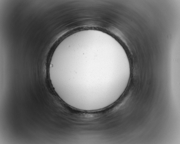 X0000088050829200706081627