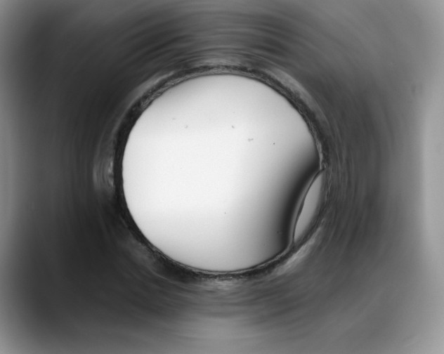 X0000088050830200706081627