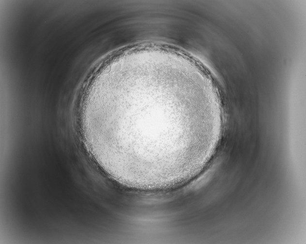 X0000088050832200706081627